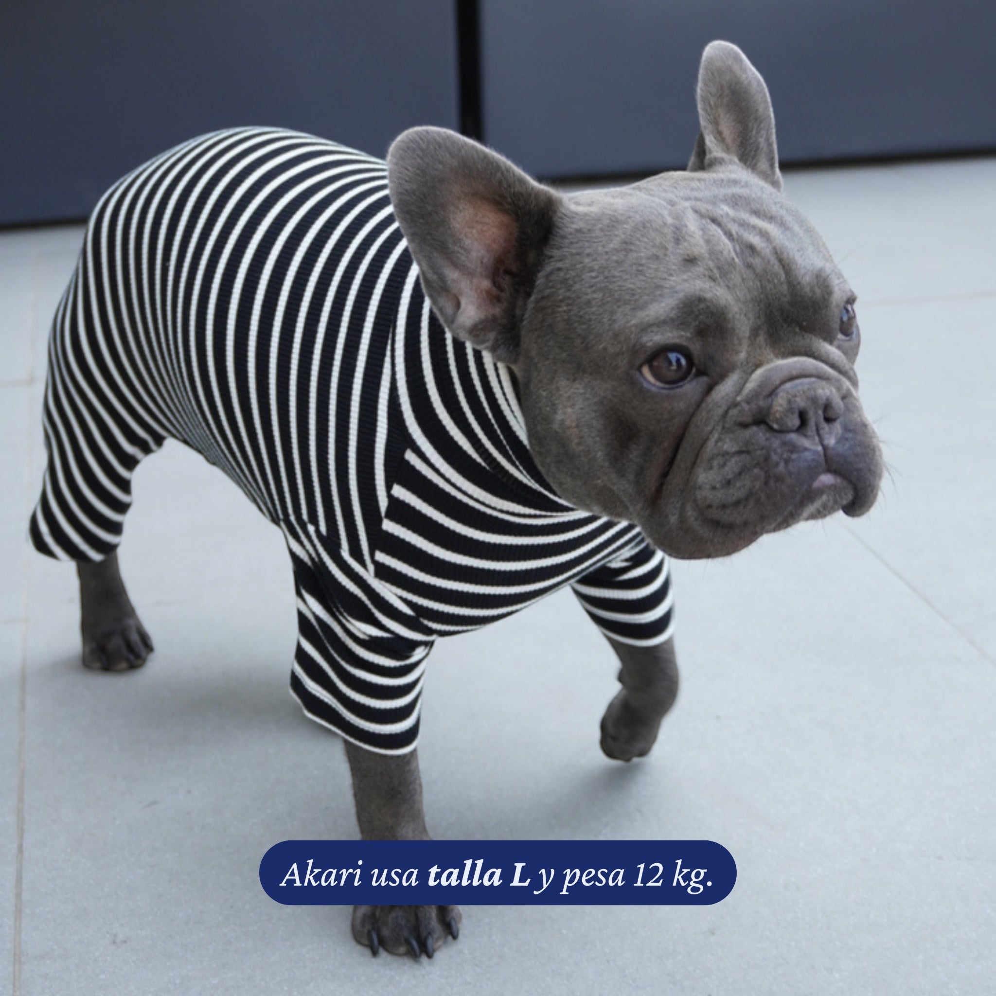 Enterito de algodón negro y blanco a rayas de Dear Friend para perros, con cuello alto y mangas largas.