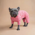Enterito rosa con rayas rojas de algodón elasticado para perros de Dear Friend. Estilo a rayas, manga larga y pantalón.