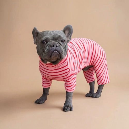 Enterito rosa con rayas rojas de algodón elasticado para perros de Dear Friend. Estilo a rayas, manga larga y pantalón.