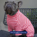 Enterito rosa con rayas rojas de algodón elasticado para perros, de Dear Friend. Cuello alto y mangas largas.