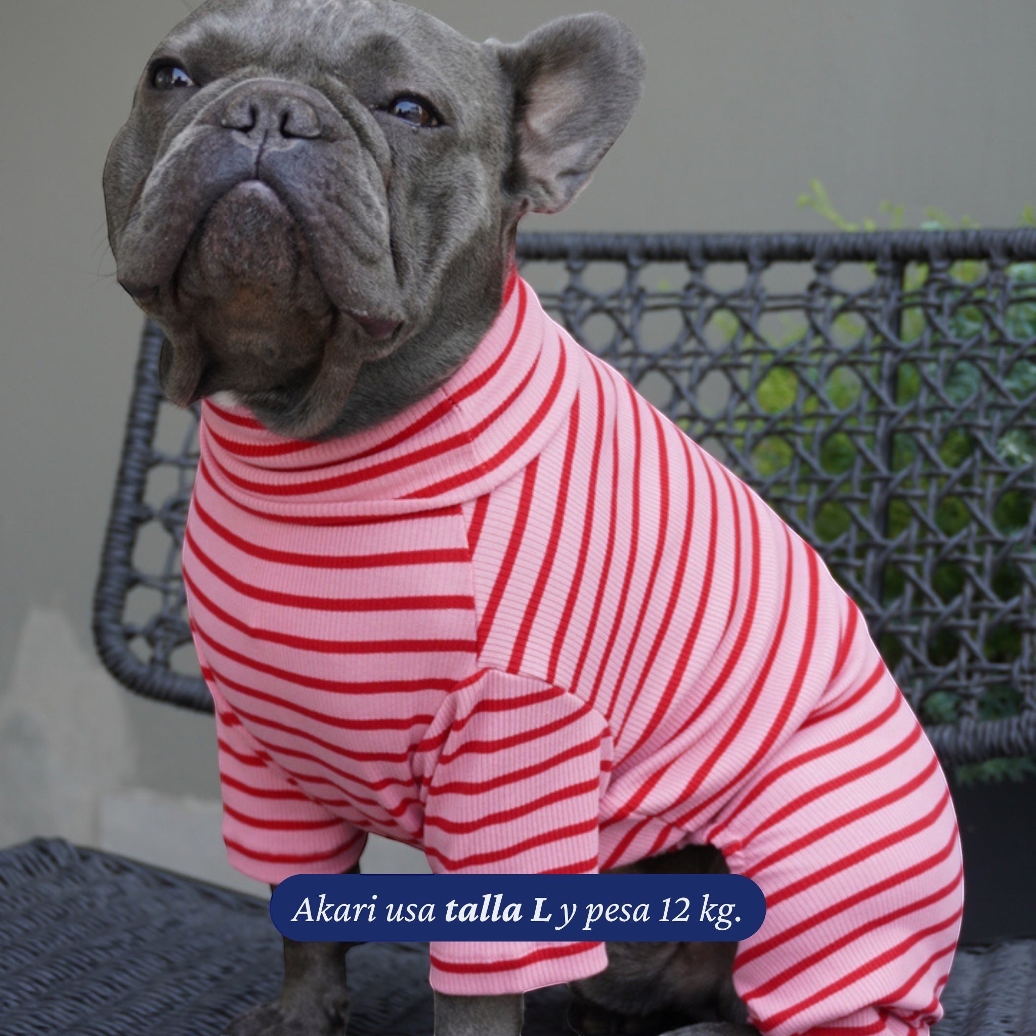 Enterito rosa con rayas rojas de algodón elasticado para perros, de Dear Friend. Cuello alto y mangas largas.