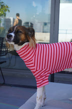 Enterito de algodón rosado y rojo a rayas para perro de Dear Friend. Cuello alto y manga larga.