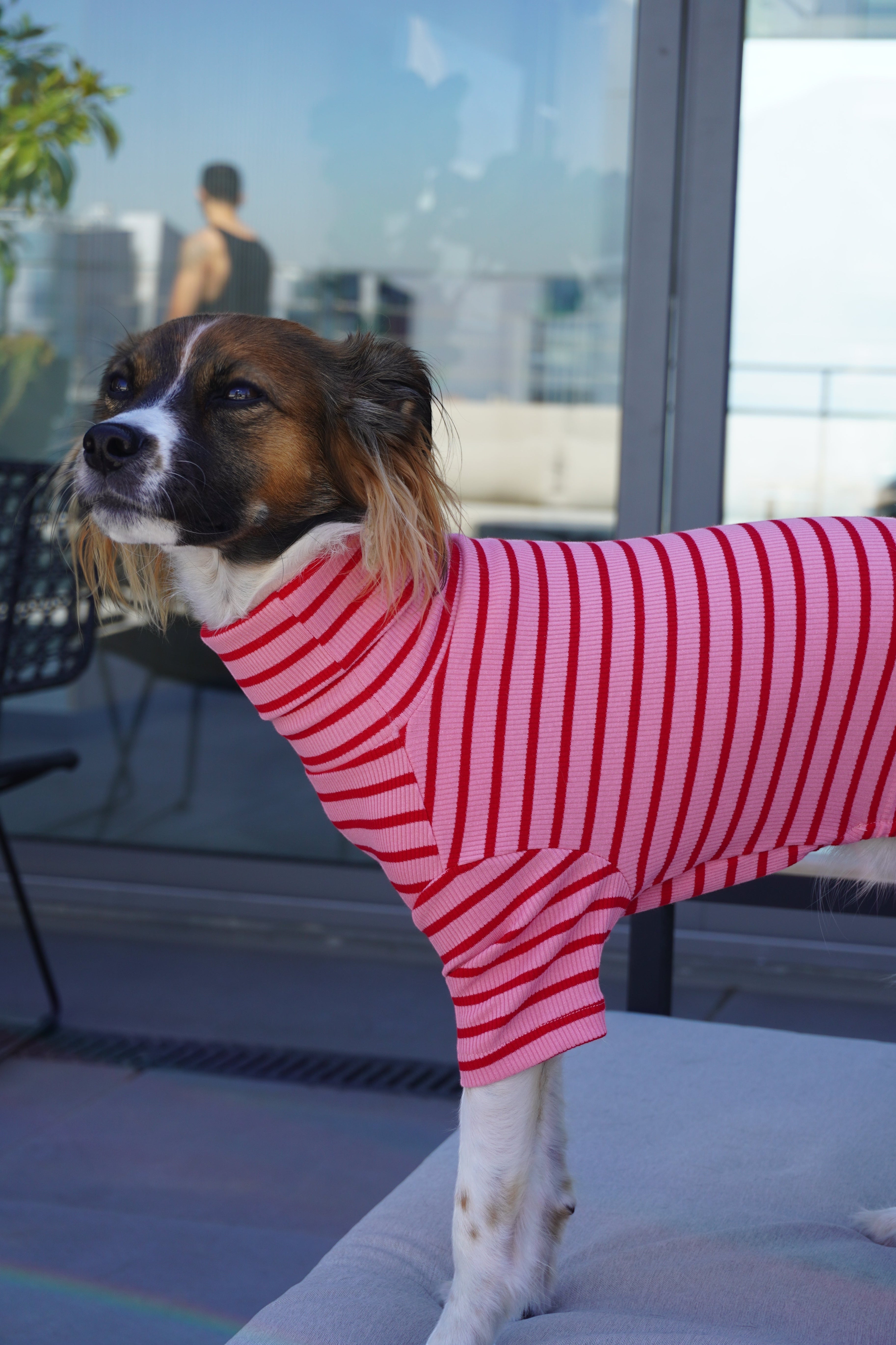 Enterito de algodón rosado y rojo a rayas para perro de Dear Friend. Cuello alto y manga larga.
