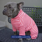 Enterito de algodón rosado con rayas rojas de Dear Friend para perros. Cuello alto y mangas largas.