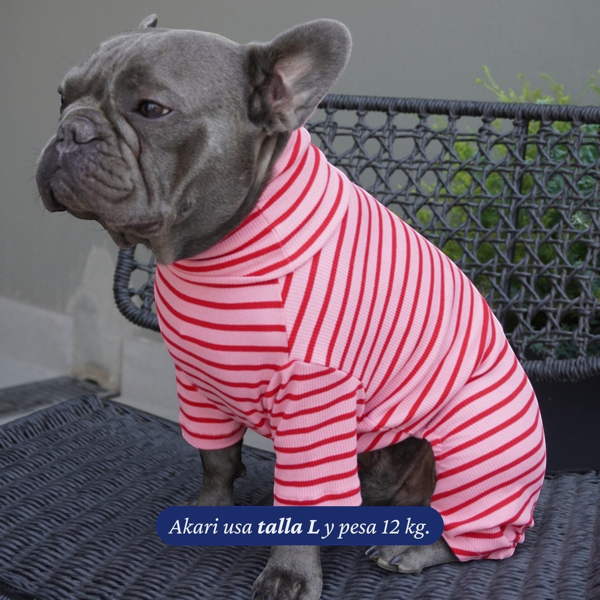 Enterito de algodón rosado con rayas rojas de Dear Friend para perros. Cuello alto y mangas largas.