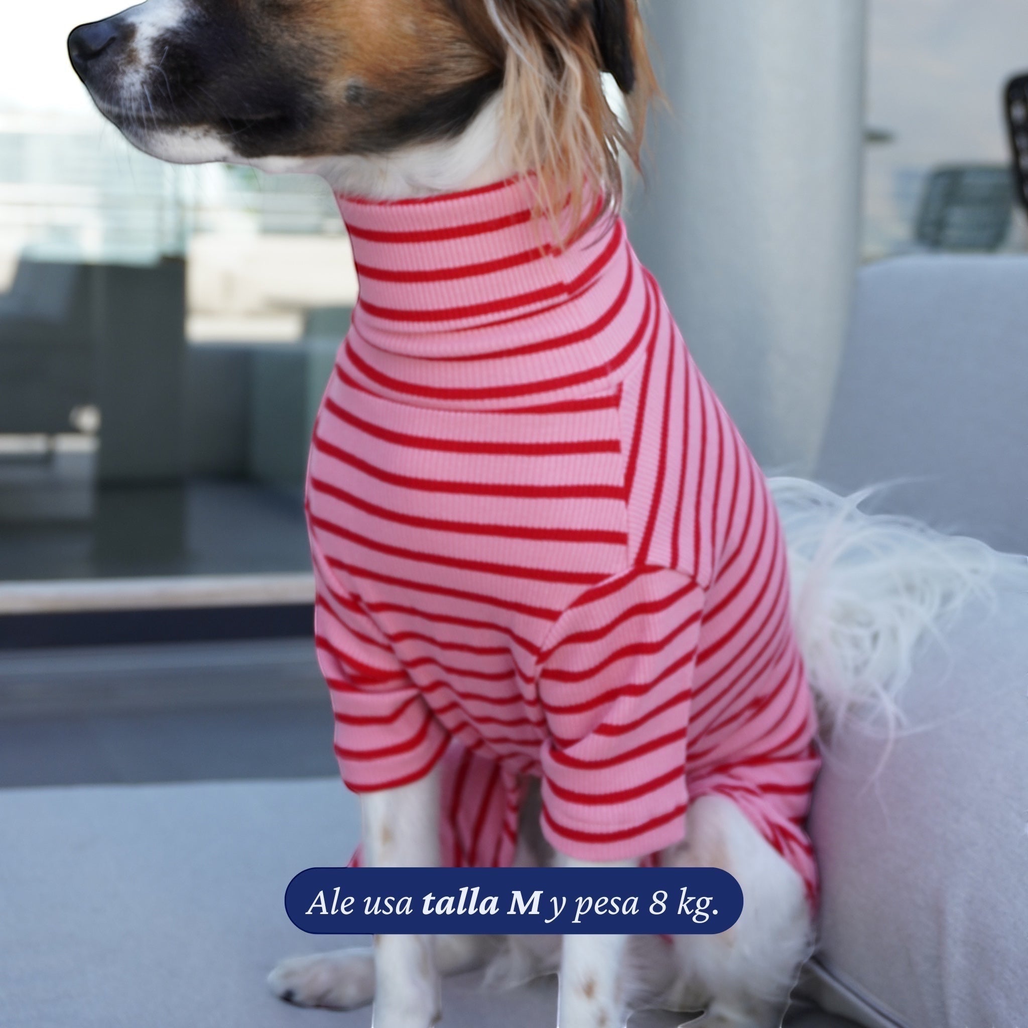 Enterito de algodón rosado con rayas rojas para perro, de Dear Friend. Manga larga y cuello alto.