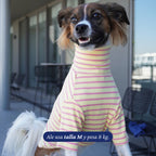 Polera de perro Dear Friend Everyday Stripe en amarillo y rosa, cuello alto, tejido elástico.