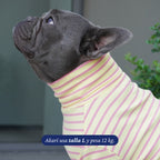 Polera de perro Dear Friend de cuello alto a rayas amarillas y rosas, confeccionada en tejido elástico.
