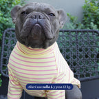 Polera de perro Dear Friend de rayas amarillas y rosas con cuello alto, tejido elástico y suave.