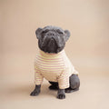 Polera de perro Dear Friend de punto acanalado con rayas finas en amarillo y rosa, cuello alto, para uso diario.