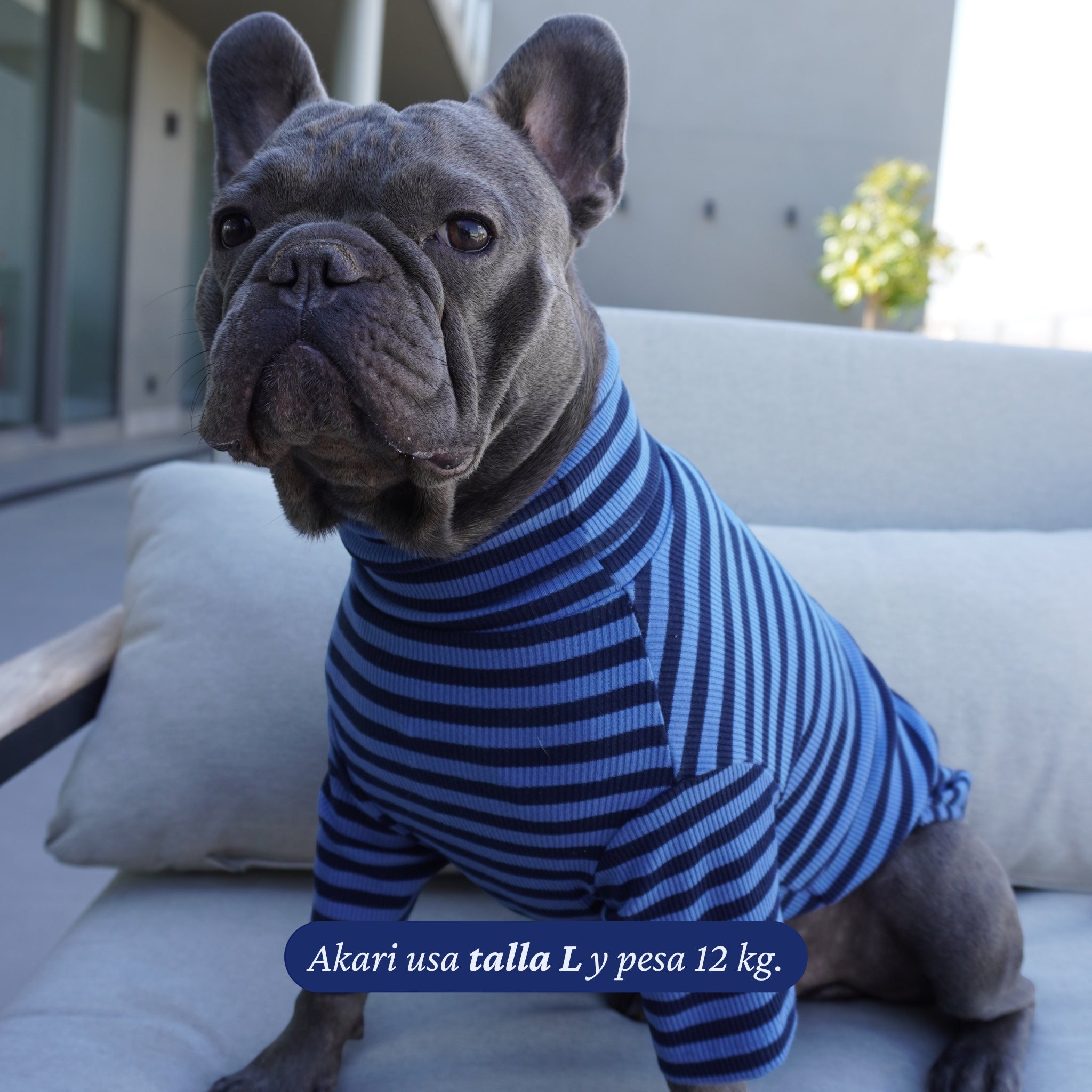Polera de algodón azul marino y azul claro a rayas para perro, de Dear Friend. Diseño de cuello alto y manga larga.