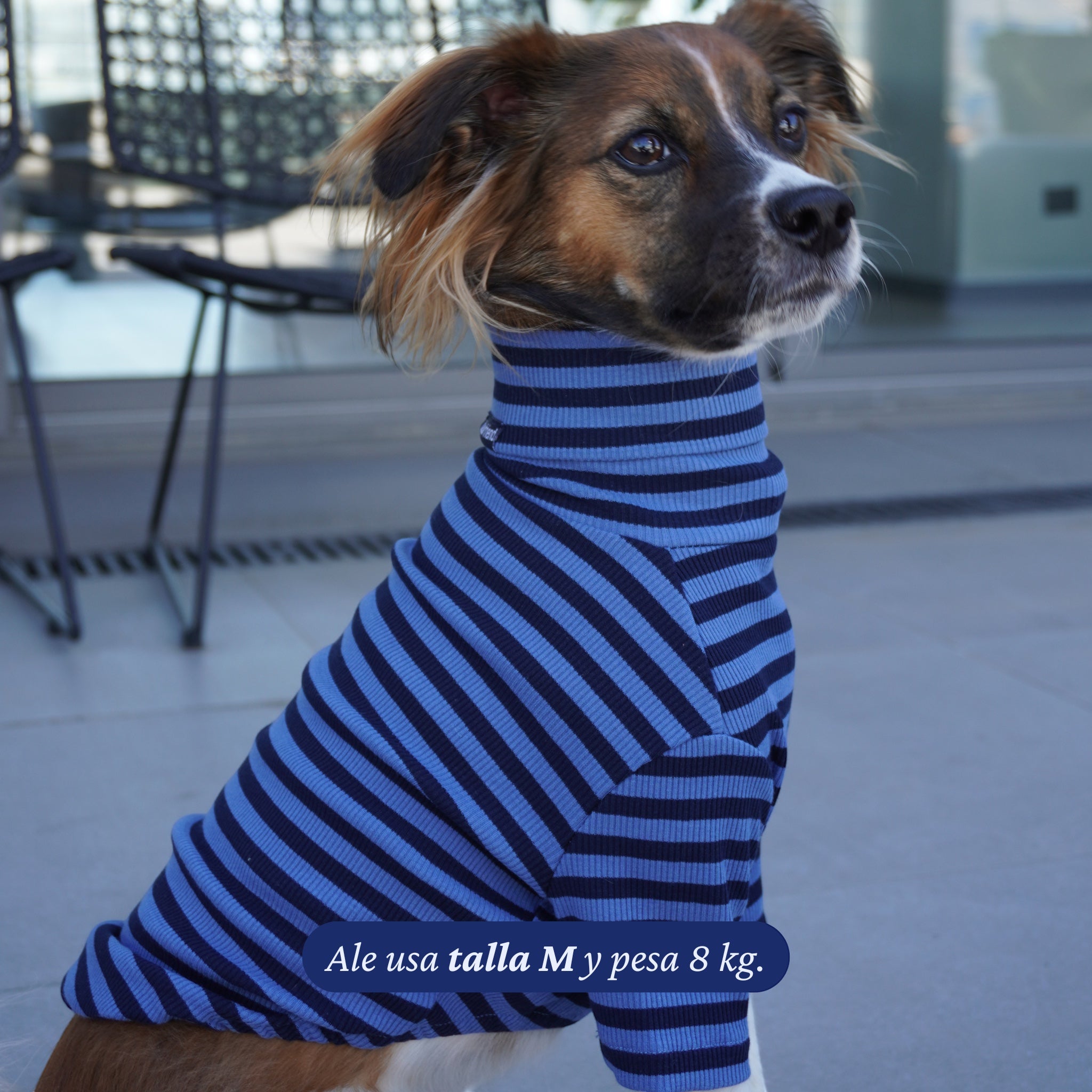 Polera de algodón azul marino y azul claro a rayas de Dear Friend para perros. Cuello alto y manga larga.