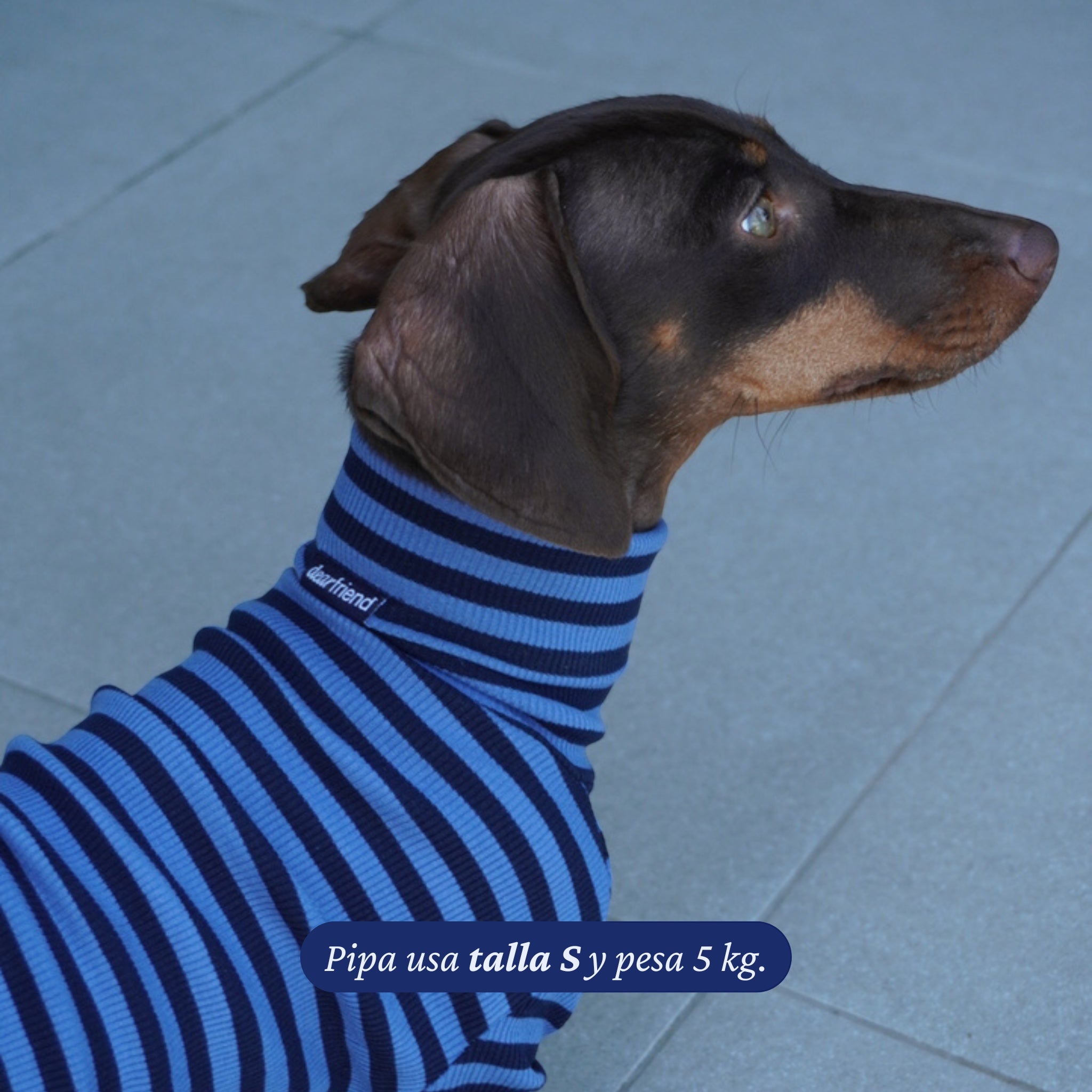 Polera de algodón azul y marino a rayas de Dear Friend para perro, con cuello alto.