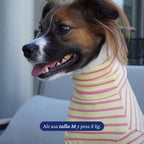 Polera de perro Dear Friend de rayas amarillas y rosas, cuello alto, tejido elástico para comodidad todo el año.