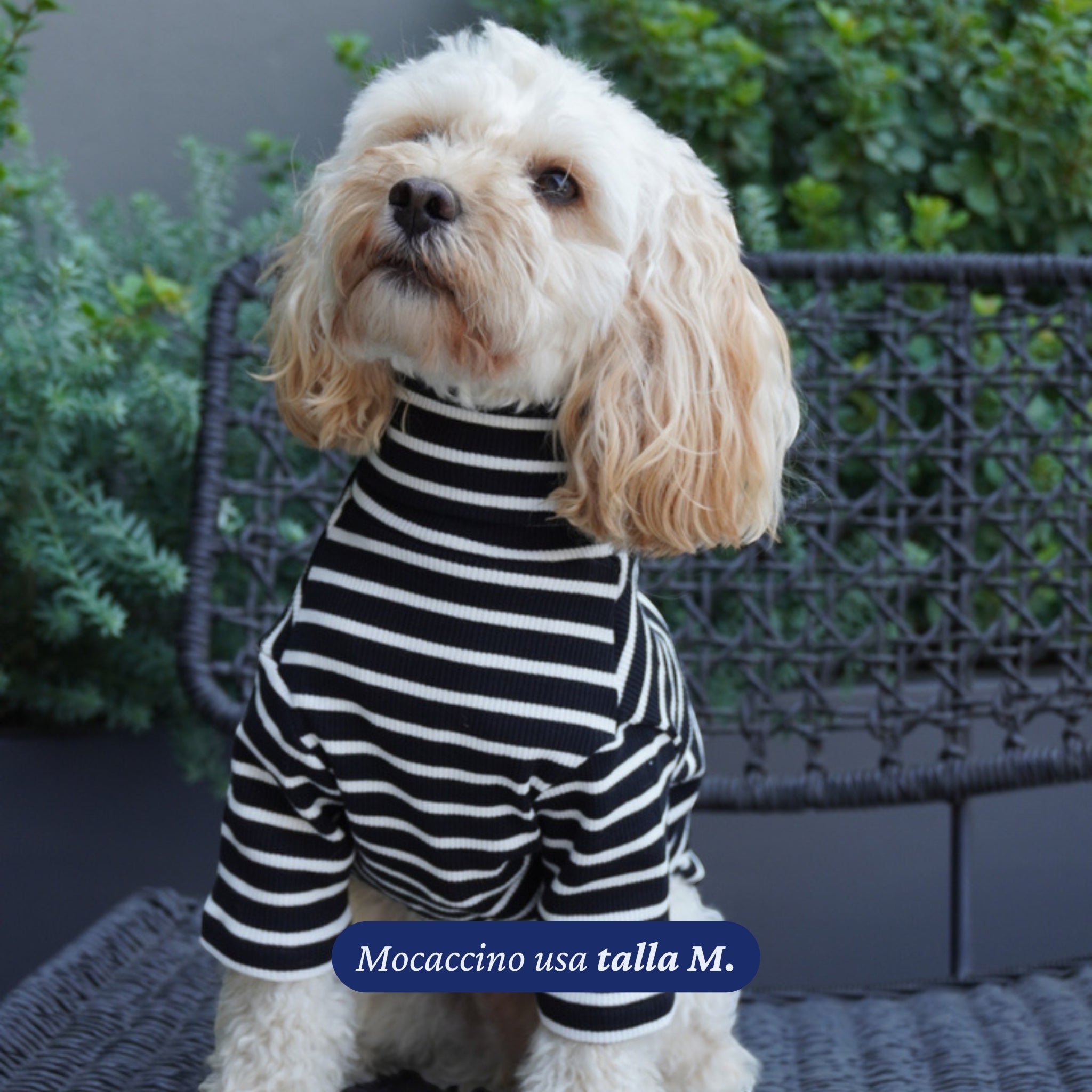 Polera de rayas negras y blancas para perro de Dear Friend, con cuello alto, tejido suave y transpirable.
