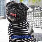 Polera de rayas negras y blancas para perro de Dear Friend, con cuello alto, ideal para uso diario.