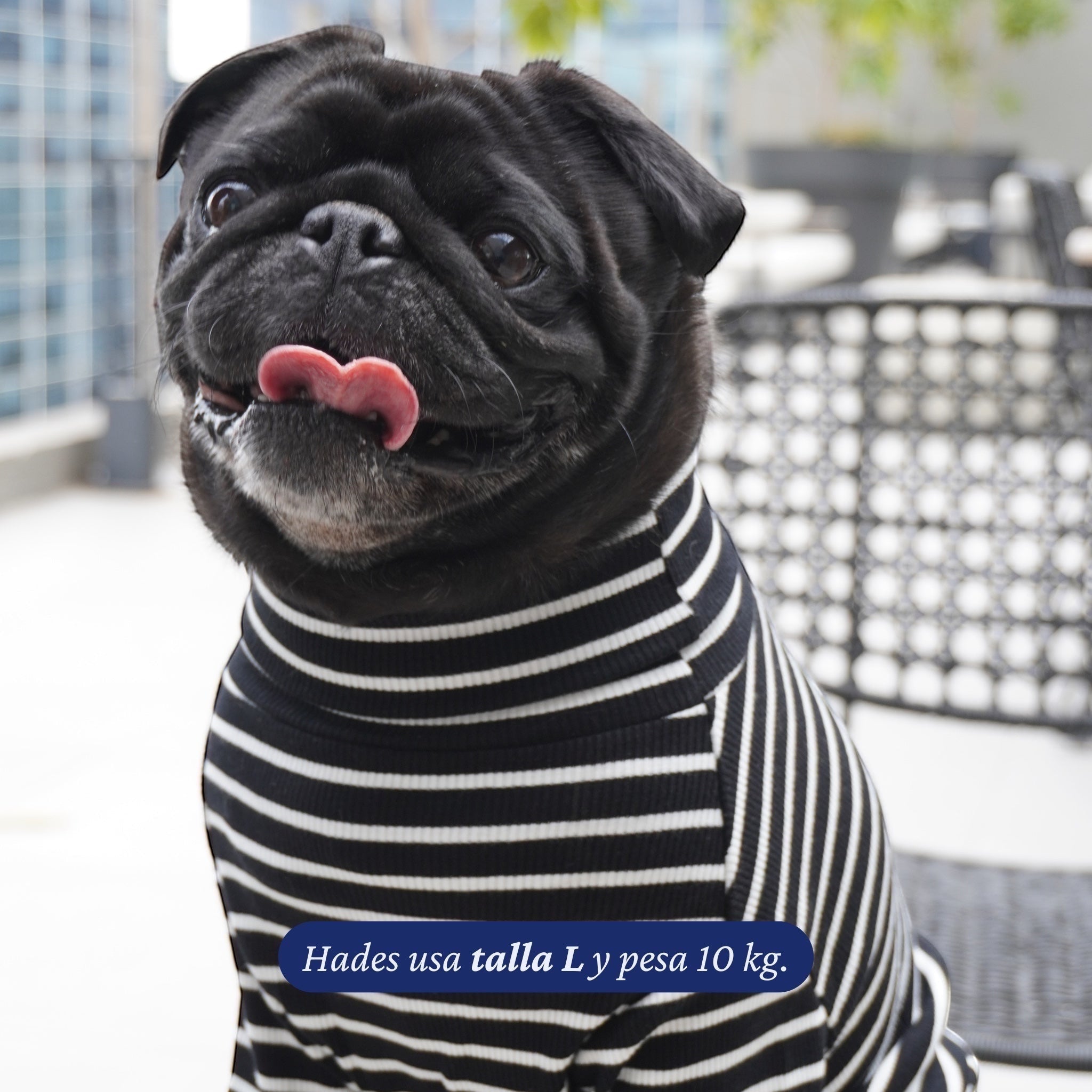Polera de rayas negras y blancas para perro de Dear Friend, con cuello alto, ideal para uso diario.