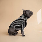 Polera de rayas negras y blancas para perro de la marca Dear Friend, con cuello alto, ideal para uso diario.