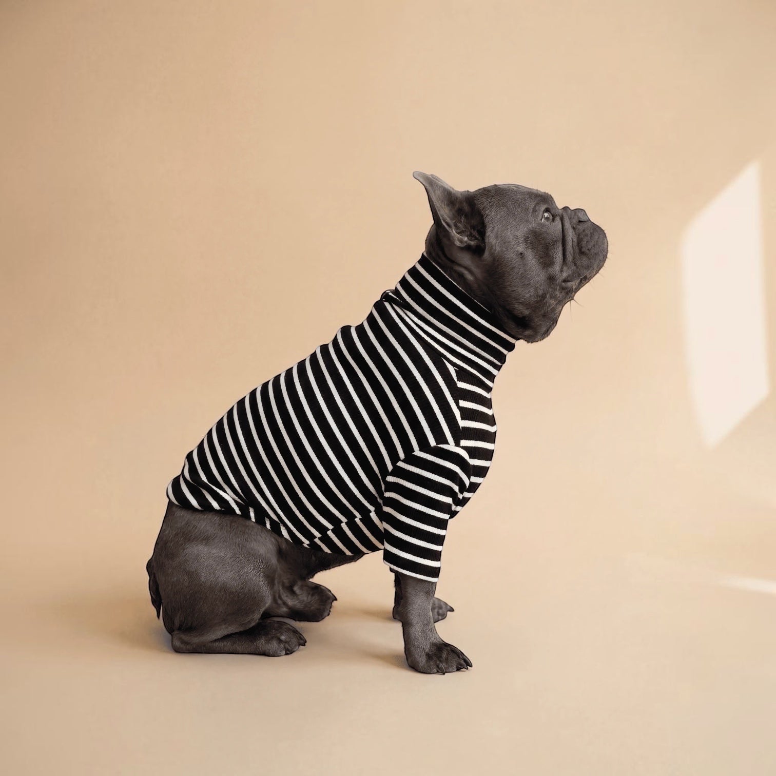Polera de rayas negras y blancas para perro de la marca Dear Friend, con cuello alto, ideal para uso diario.