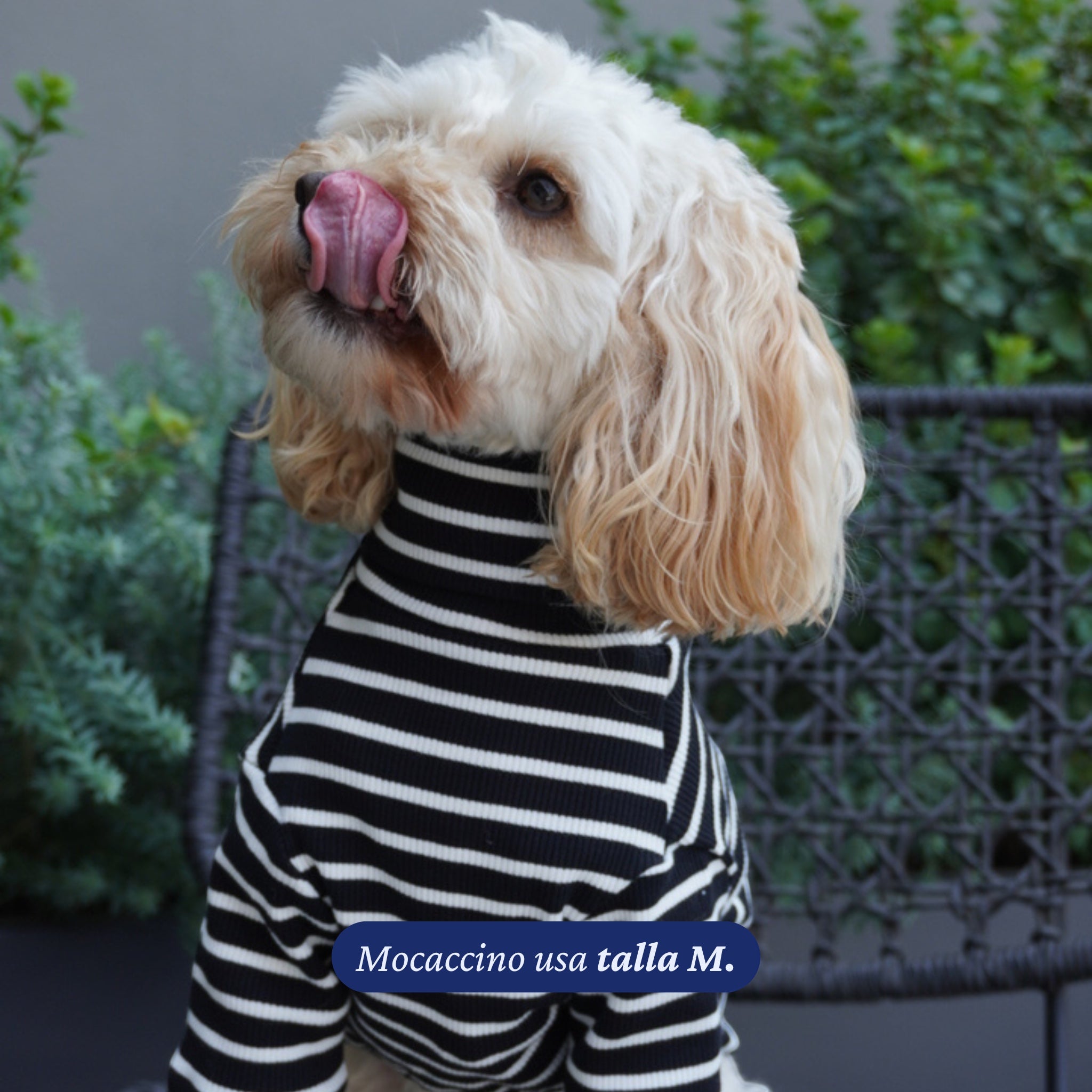 Polera de rayas negras y blancas de Dear Friend para perros, con cuello alto, tejido suave y transpirable.