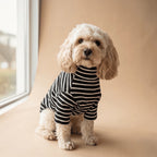 Polera de rayas negras y blancas para perro de Dear Friend, con cuello alto, tejido suave y transpirable.