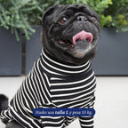 Polera de rayas negras y blancas para perro de Dear Friend, con cuello alto, ideal para uso diario y clima fresco.