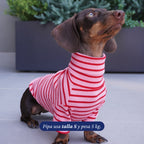 Polera de punto a rayas rosas y rojas de Dear Friend para perros, con cuello alto y mangas largas.