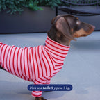 Polera rosa y roja a rayas de Dear Friend para perros, con cuello alto y mangas largas, ideal para el frío.