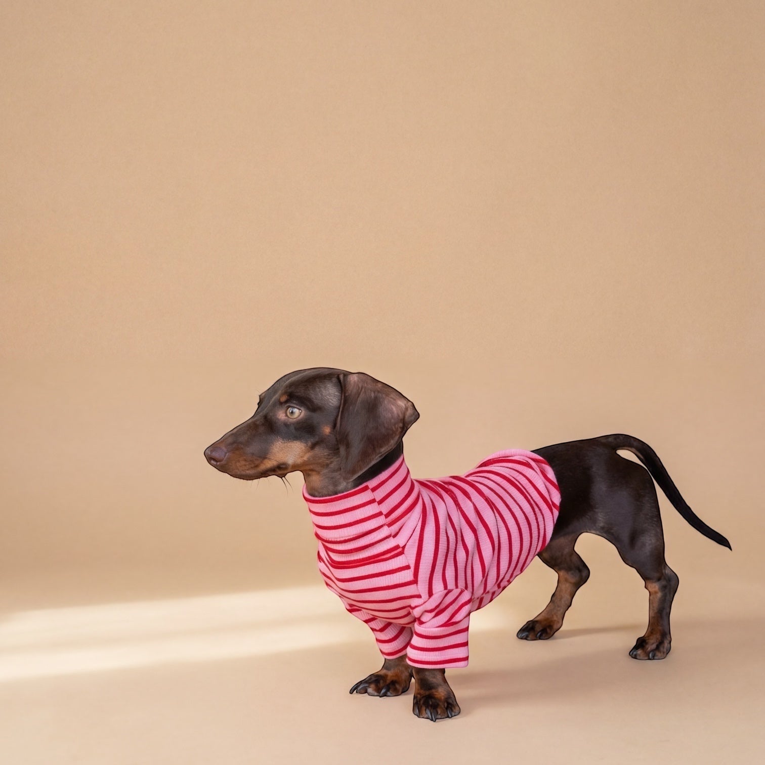 Polera de perro a rayas rosas y rojas de Dear Friend, con cuello alto y mangas largas, hecha de tejido elástico.