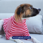 Polera de perro Dear Friend a rayas rosas y rojas, con cuello alto y mangas largas, confeccionada en tejido elástico.