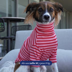 Polera de perro a rayas rosas y rojas de Dear Friend, con cuello alto y mangas largas, ideal para el frío.