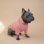 Polera Everyday Stripe – Poppy