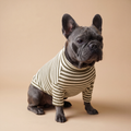 Polera Everyday Stripe – Olive