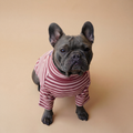 Polera Everyday Stripe – Berry