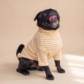 Polera Everyday Stripe – Honey