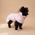 Pomerania usando el Impermeable Winter Blossom rosado de Dear Friend, en fondo de estudio.