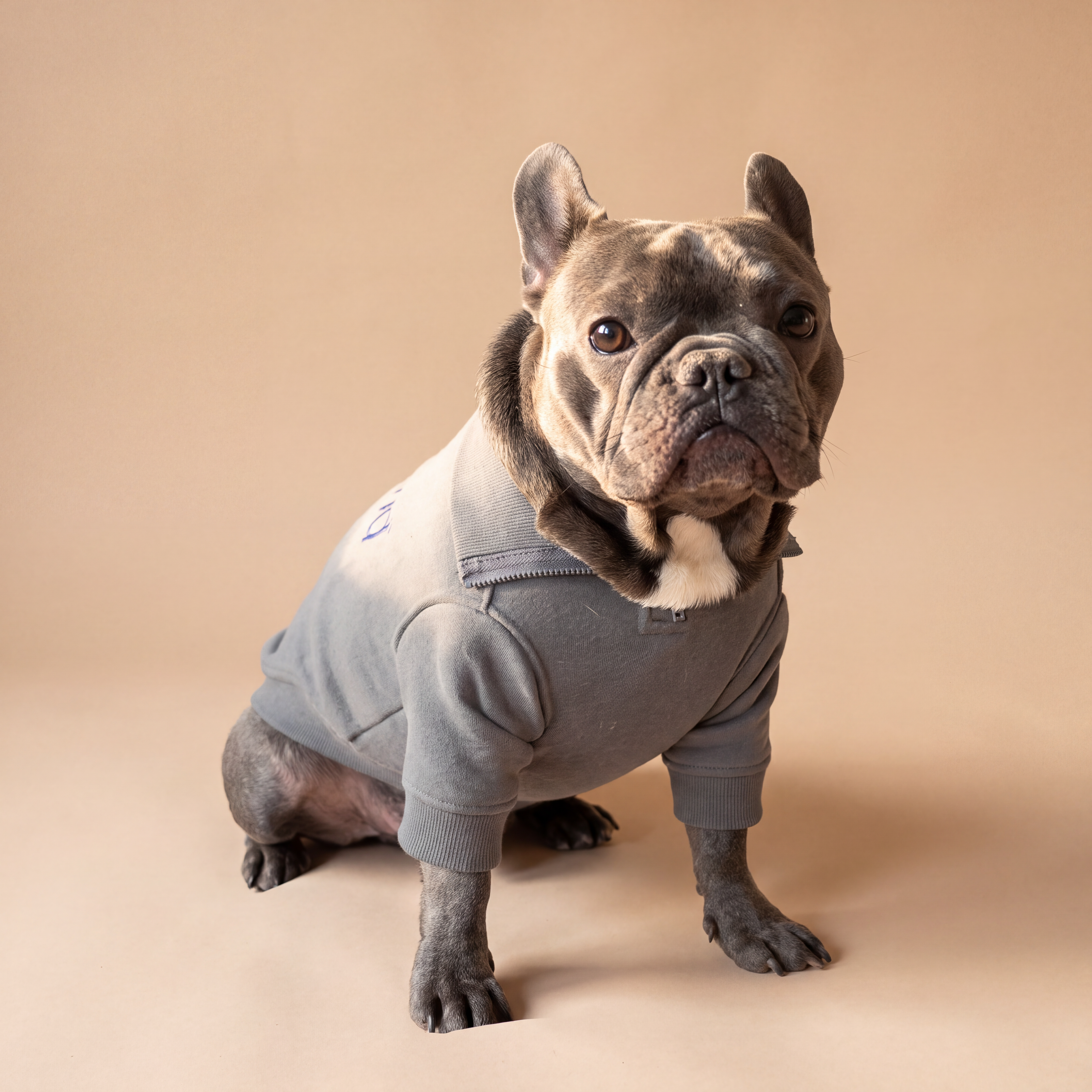Bulldog francés con polerón gris para perros de Dear Friend, con felpa interior.
